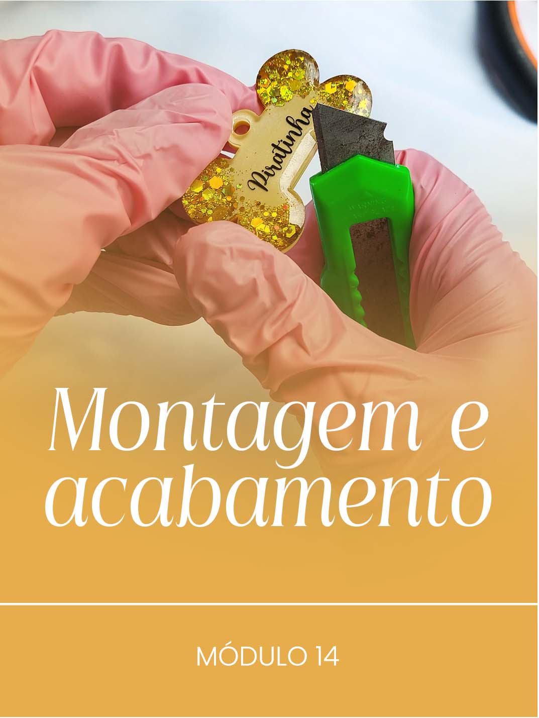 Módulo 14