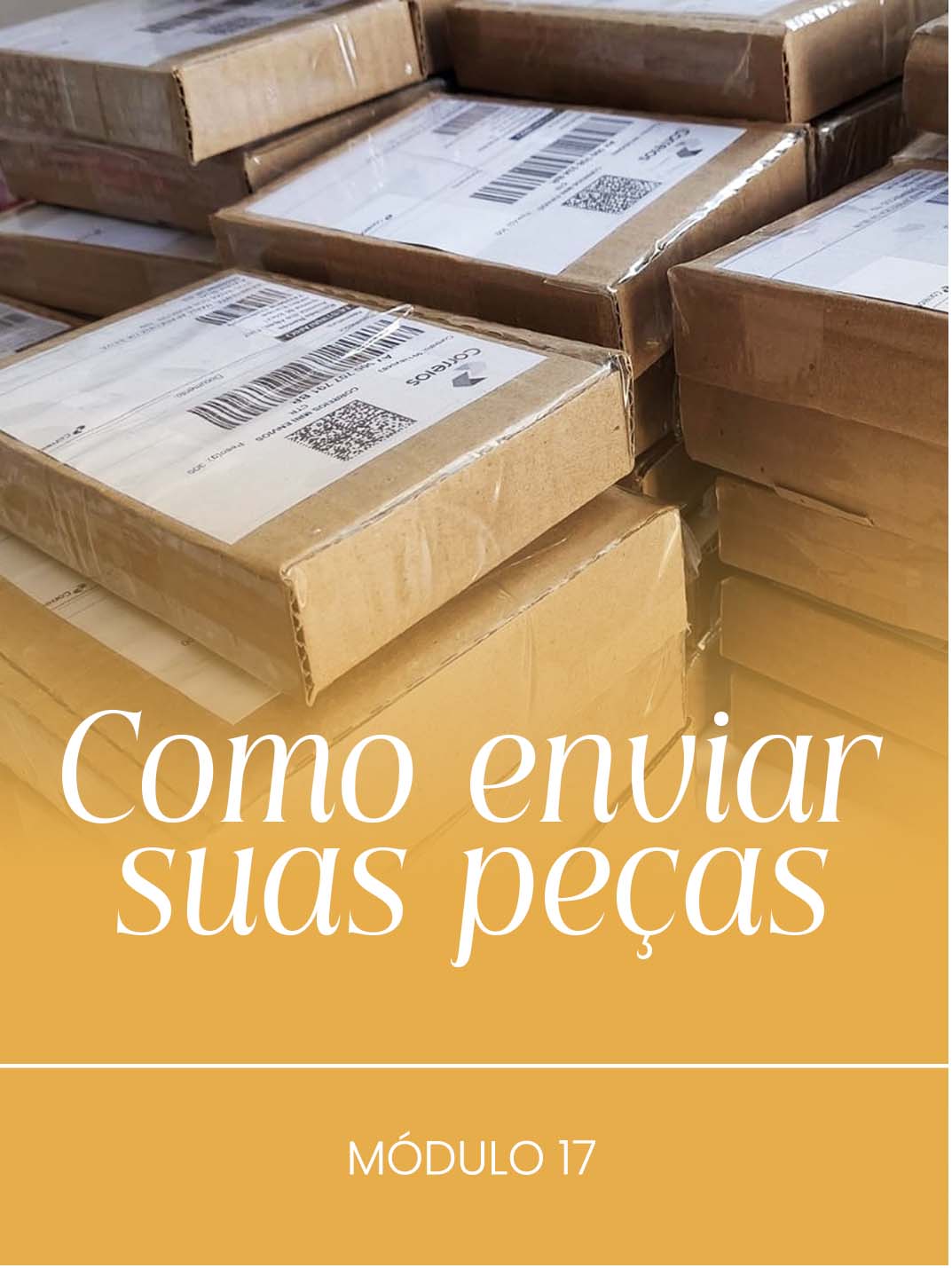 Módulo 17