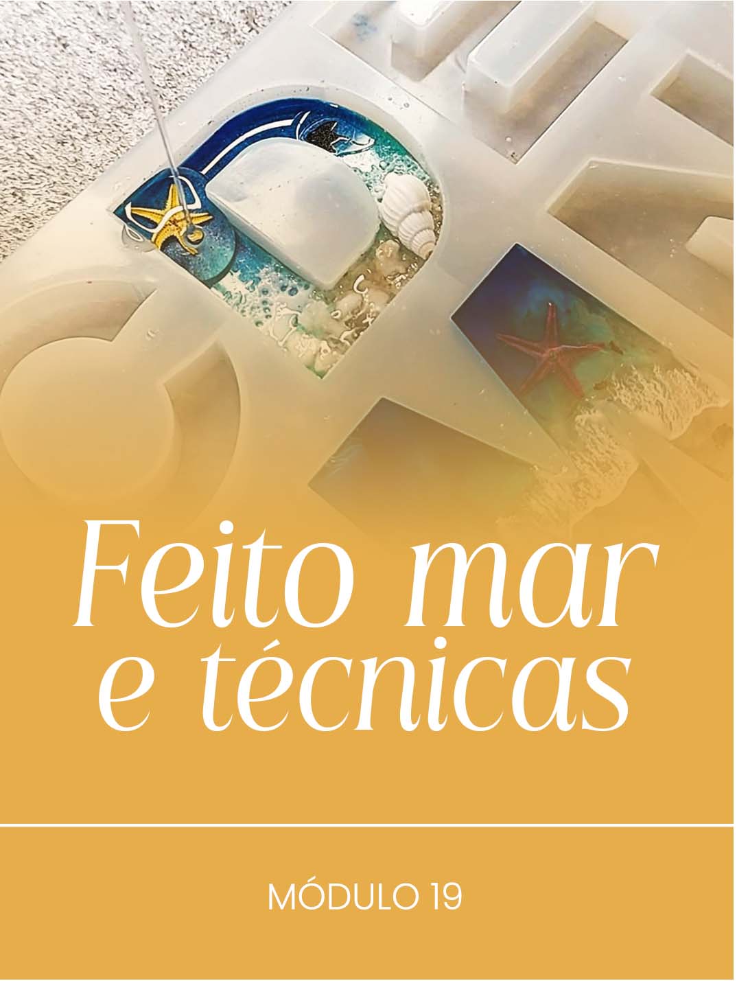 Módulo 19
